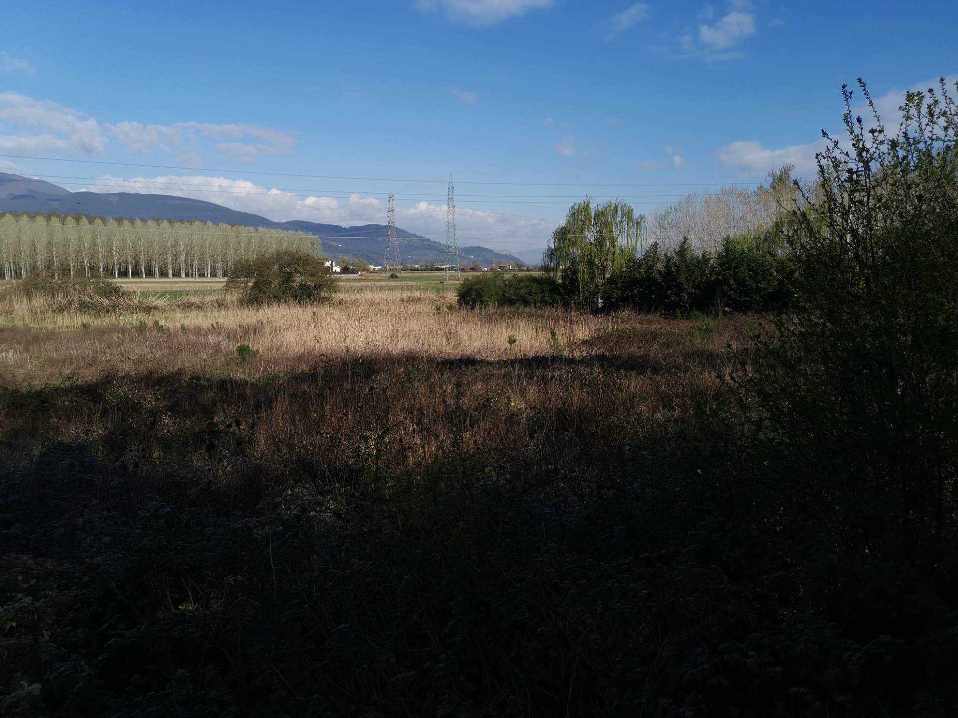Terreno Agricolo in vendita a Bientina, Puntone