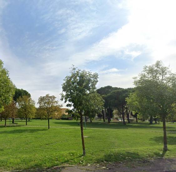 fondo artigianale in affitto a Buti