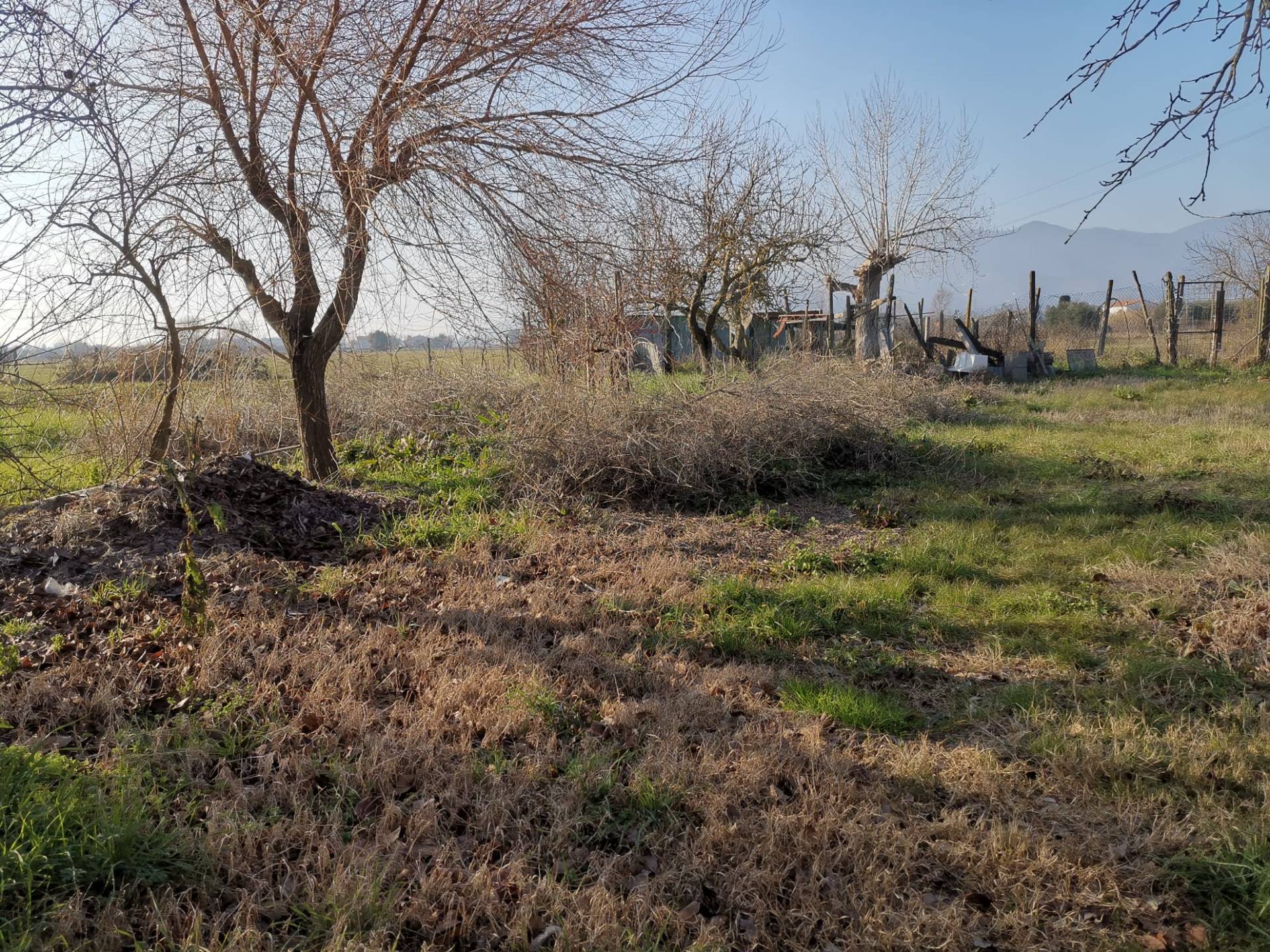 Terreno edificabile in vendita a Pontedera, Gello