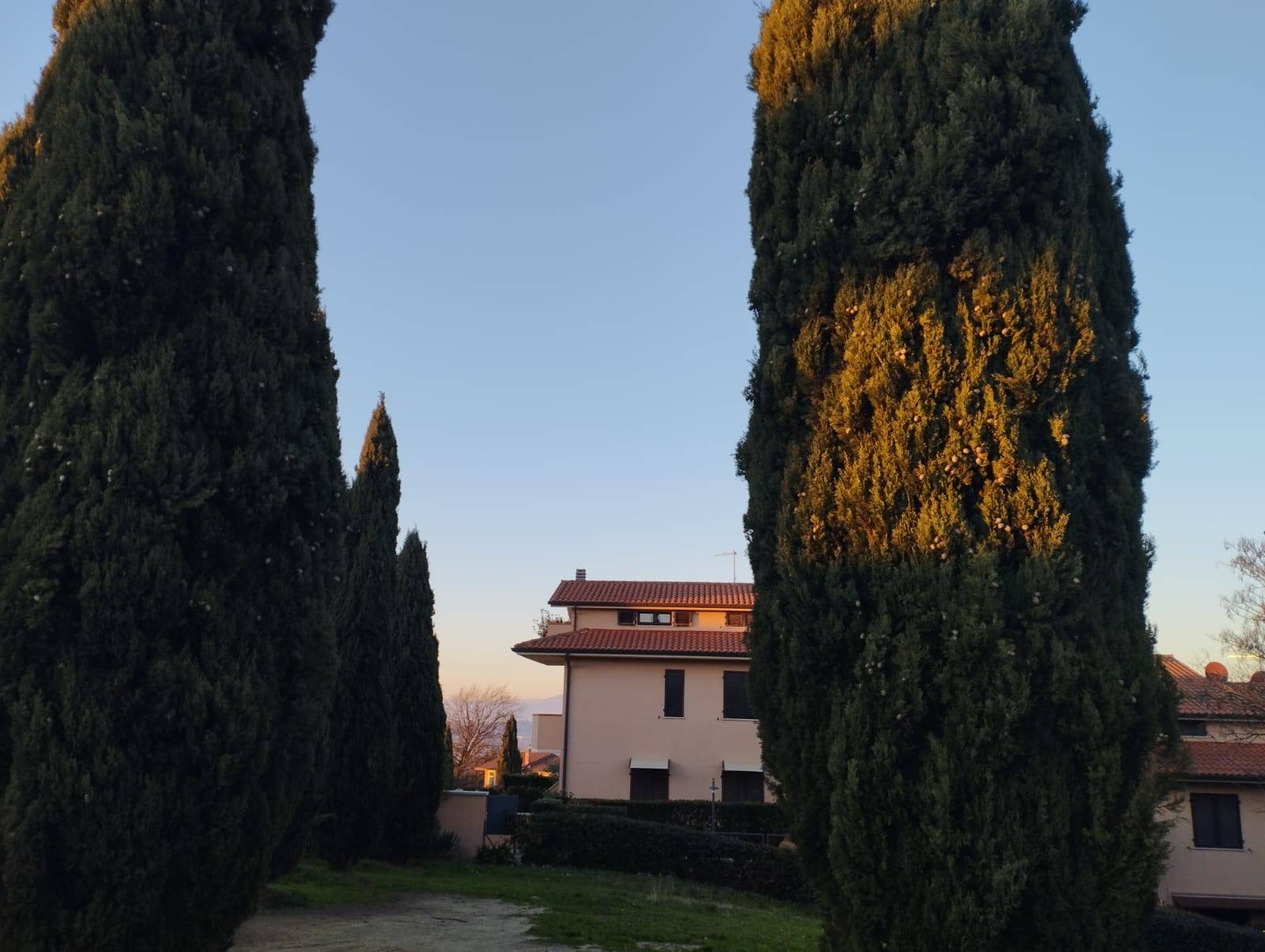 Appartamento in vendita a Montopoli in Val d'Arno, Marti