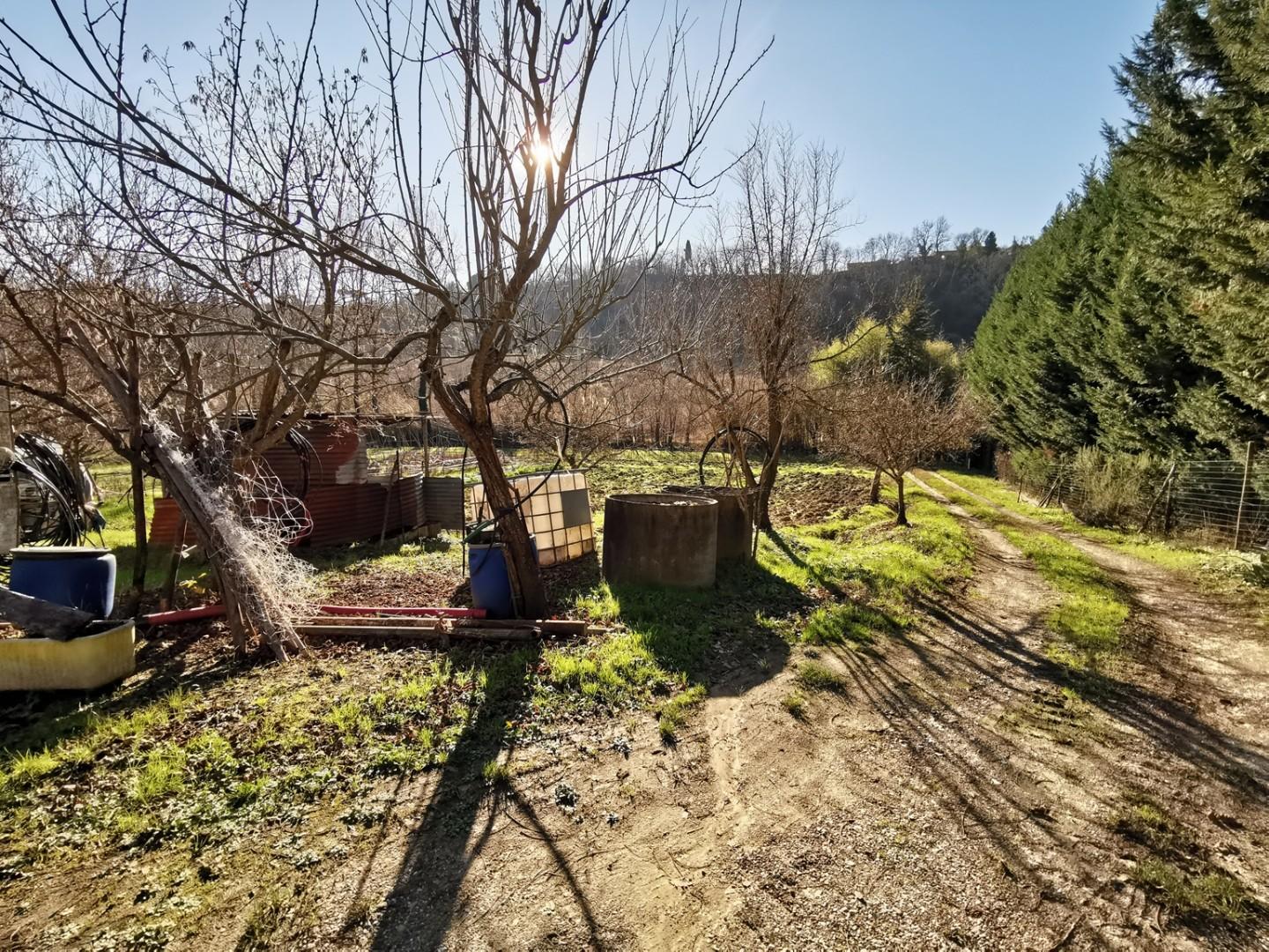 Terreno Agricolo in vendita, San Miniato catena