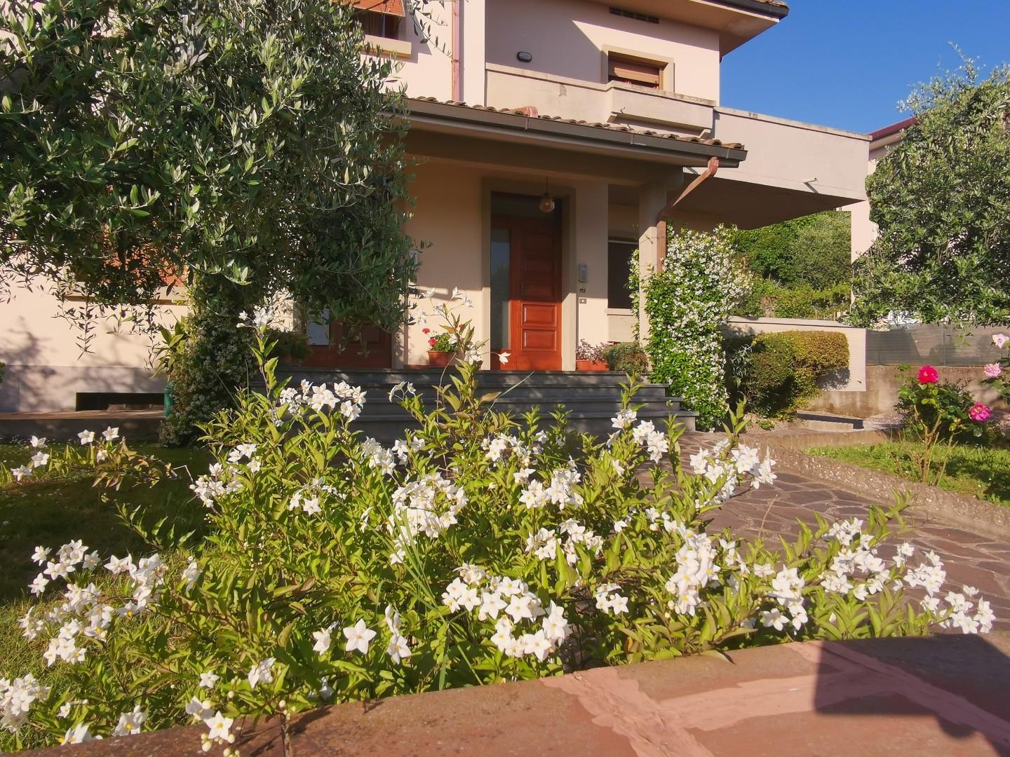 immagine annuncio 2 di 6