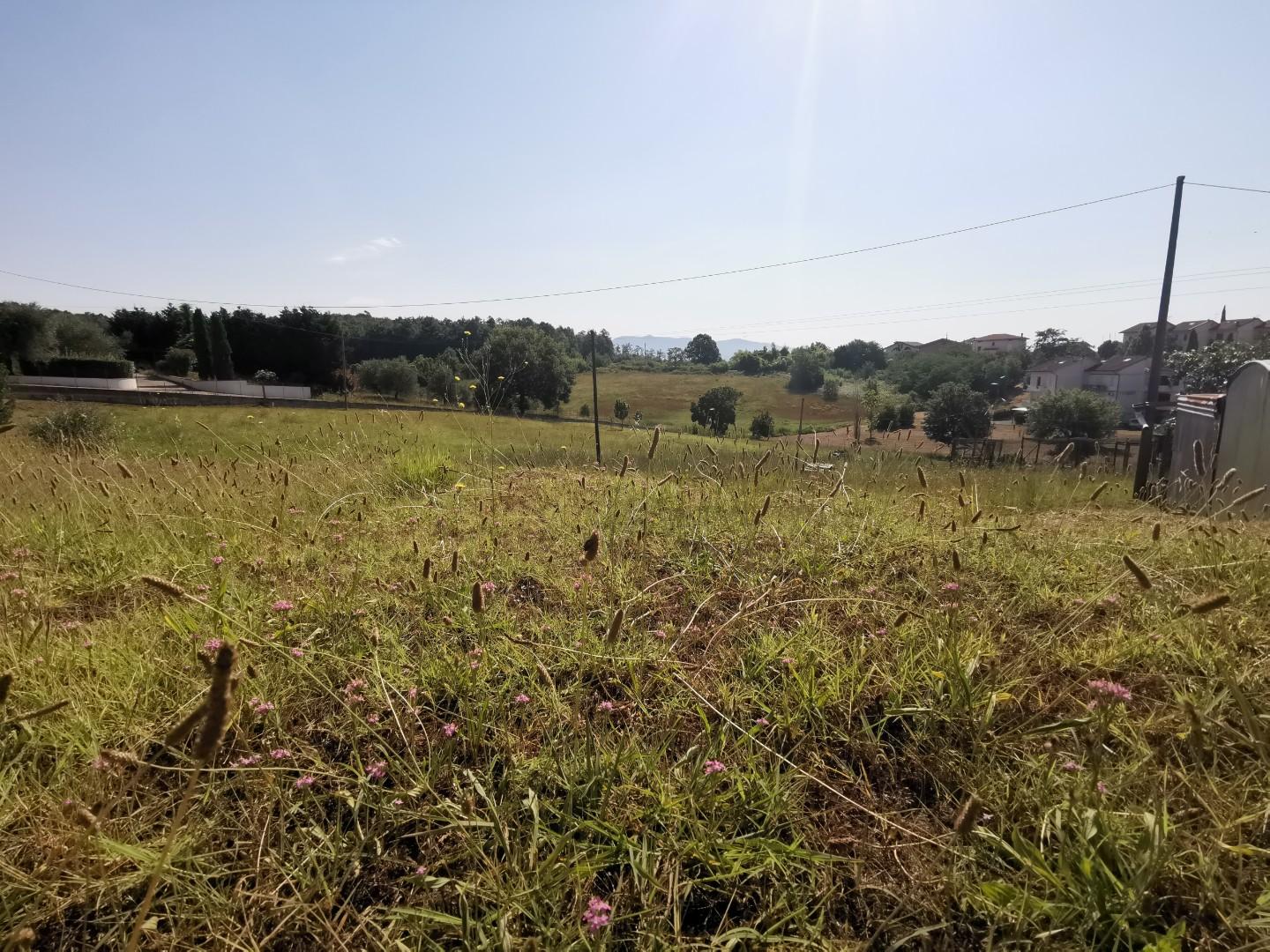 Terreno Edificabile in vendita, Cerreto Guidi stabbia