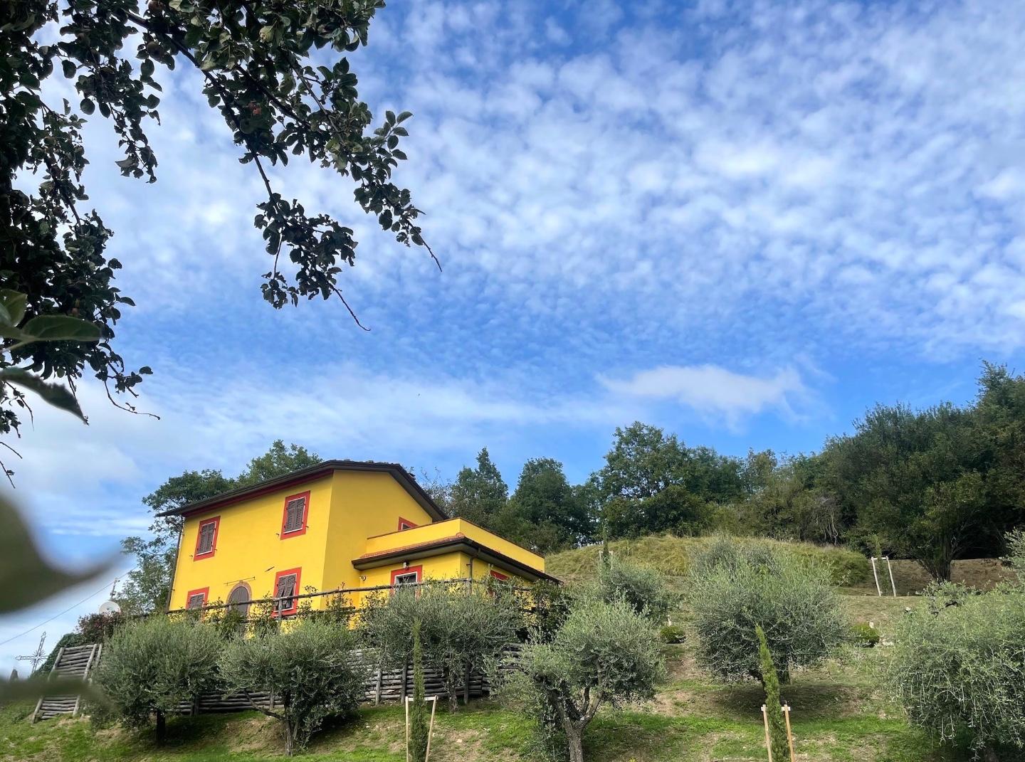 immagine annuncio 1 di 6