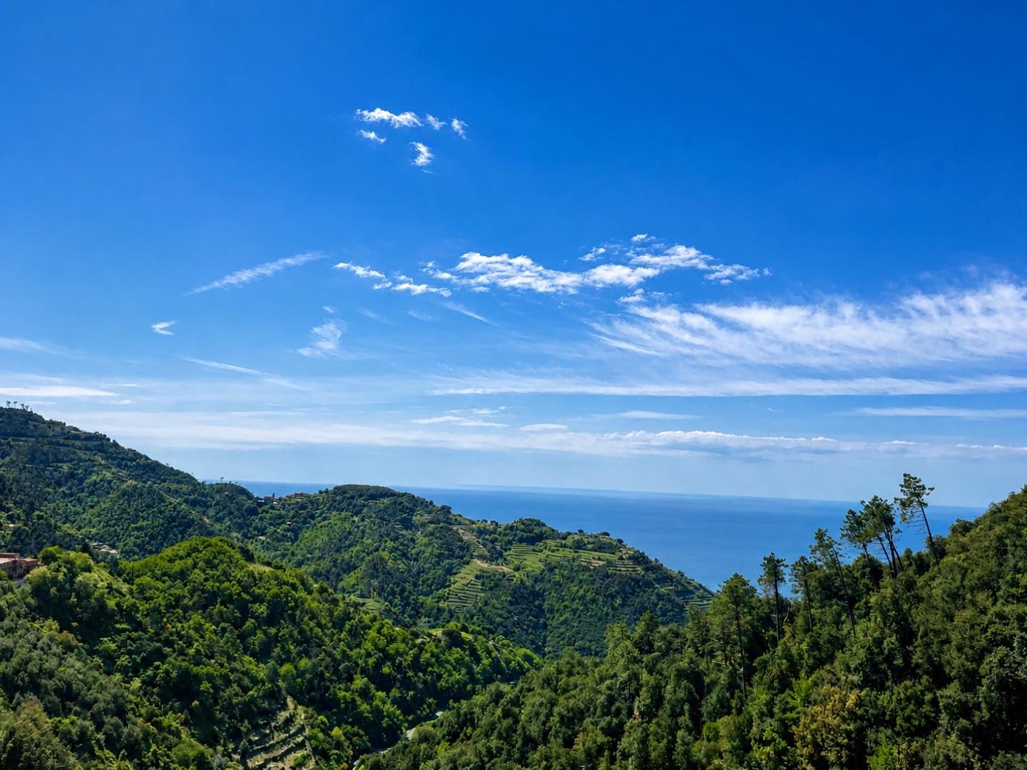 Villa Bifamiliare con giardino, Vernazza drignana