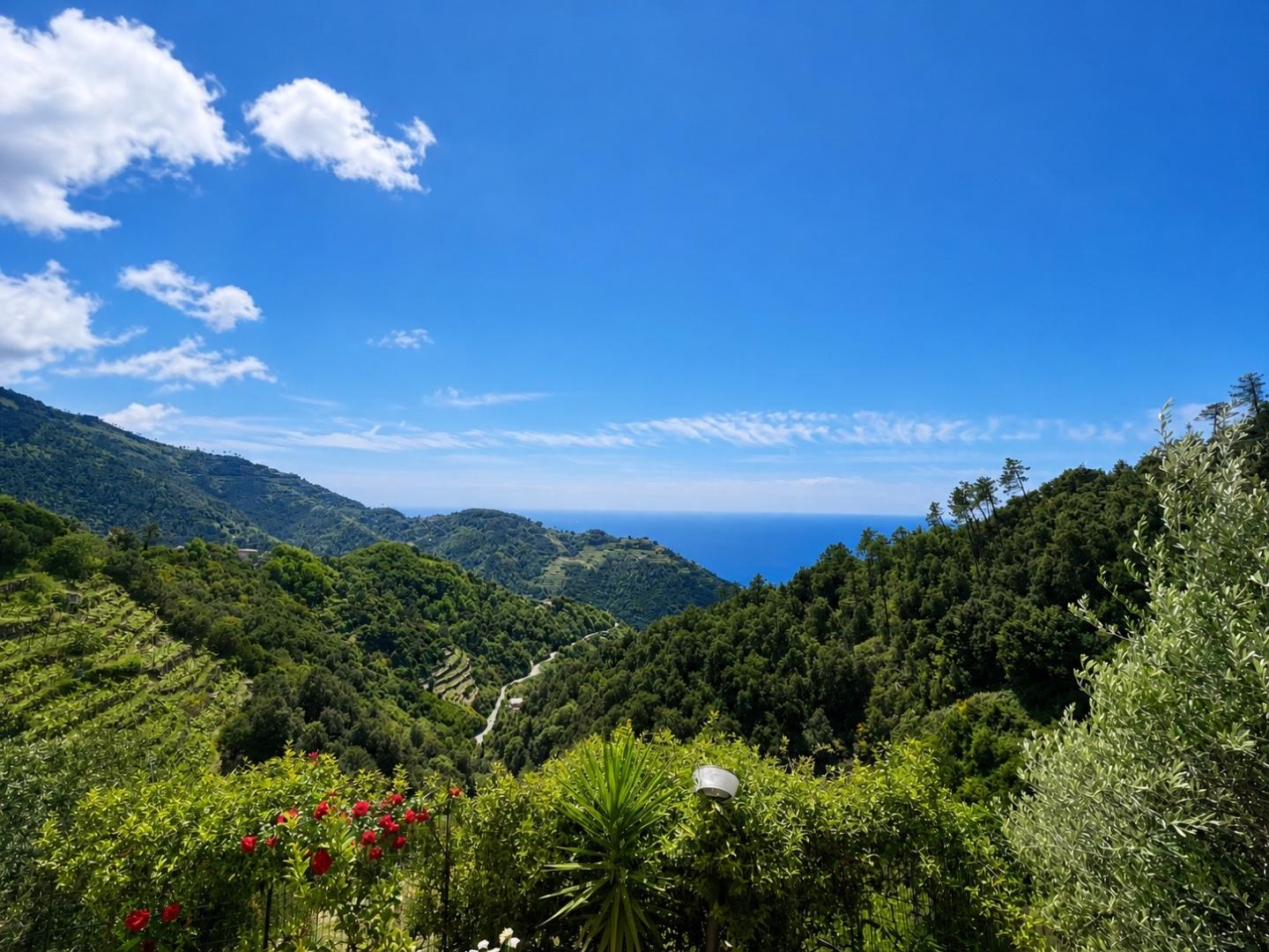 Villa Bifamiliare con giardino, Vernazza drignana