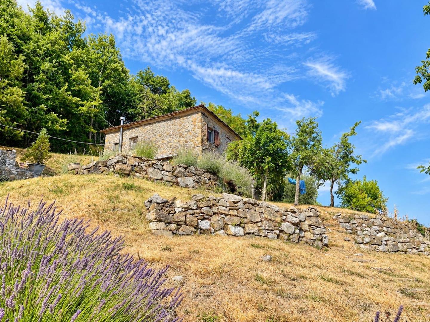 Rustico ristrutturato, Zignago pieve di