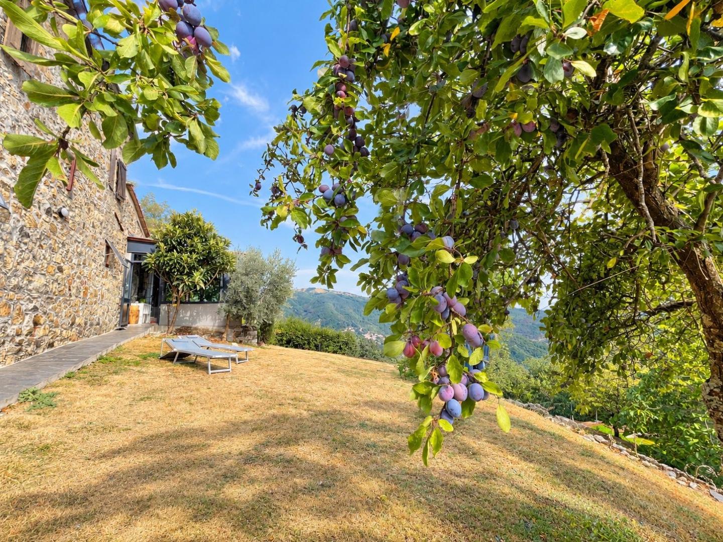Rustico ristrutturato, Zignago pieve di