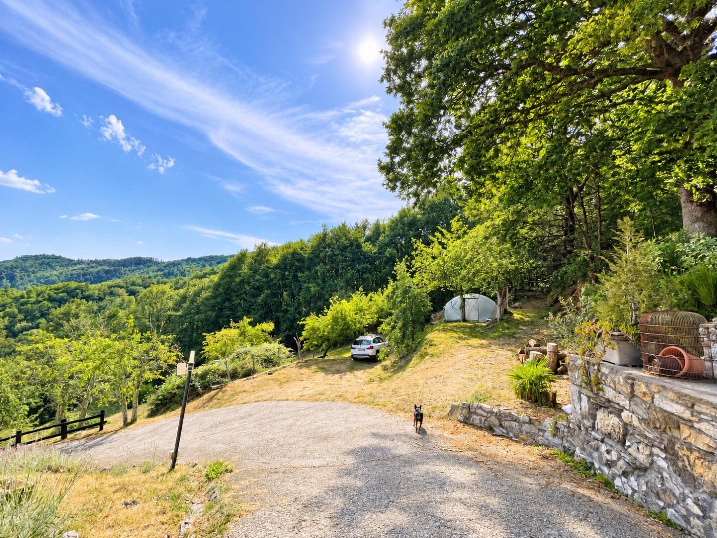 Rustico ristrutturato, Zignago pieve di