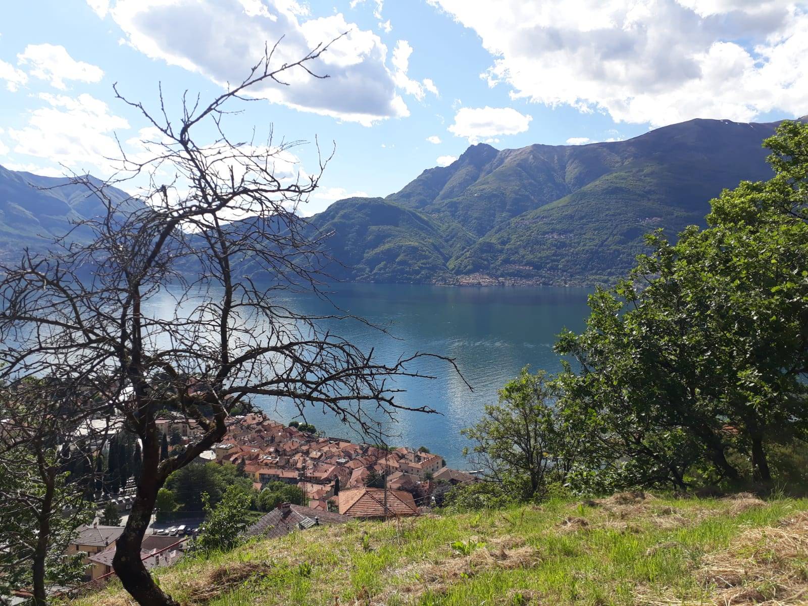 Terreno edificabile in vendita a Bellano, Ombriaco