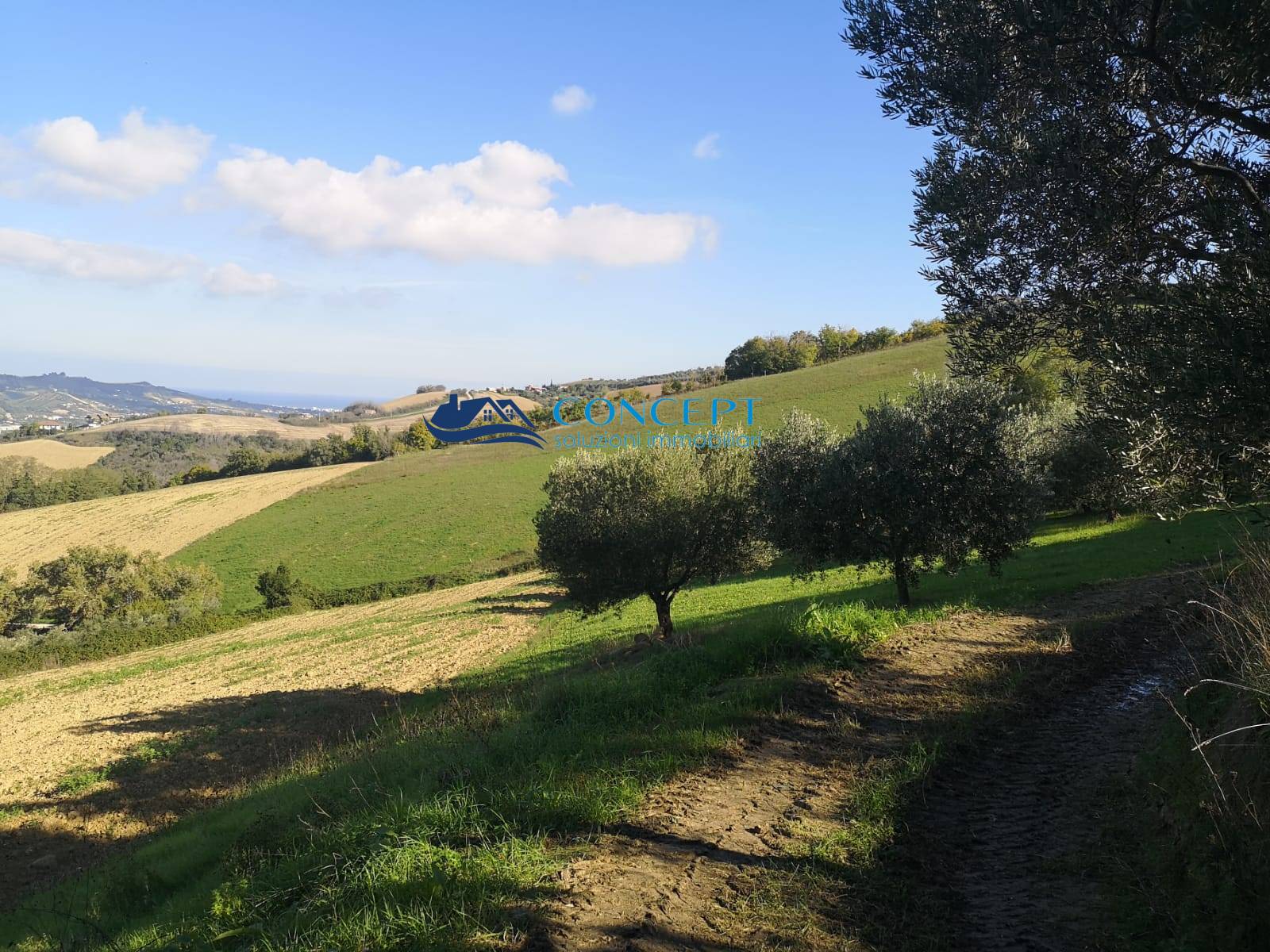 Terreno Agricolo in vendita a Colonnella