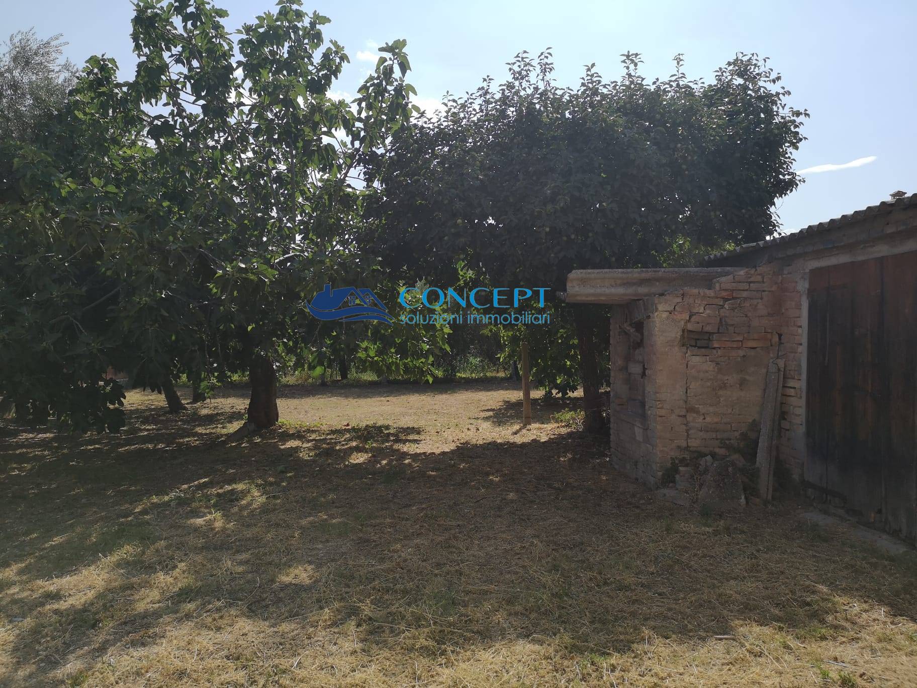 Rustico in vendita a Nereto