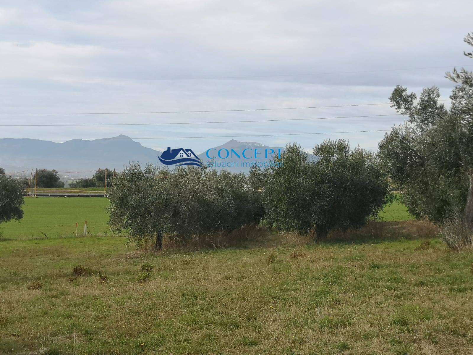 Terreno edificabile in vendita a Colonnella