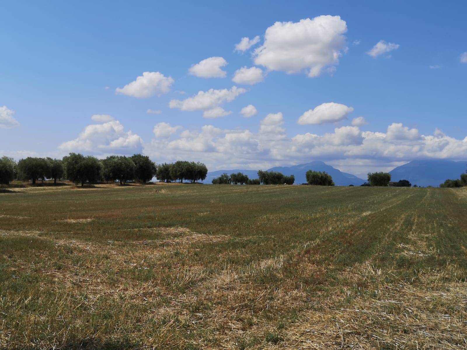 Casolare in vendita a Corropoli
