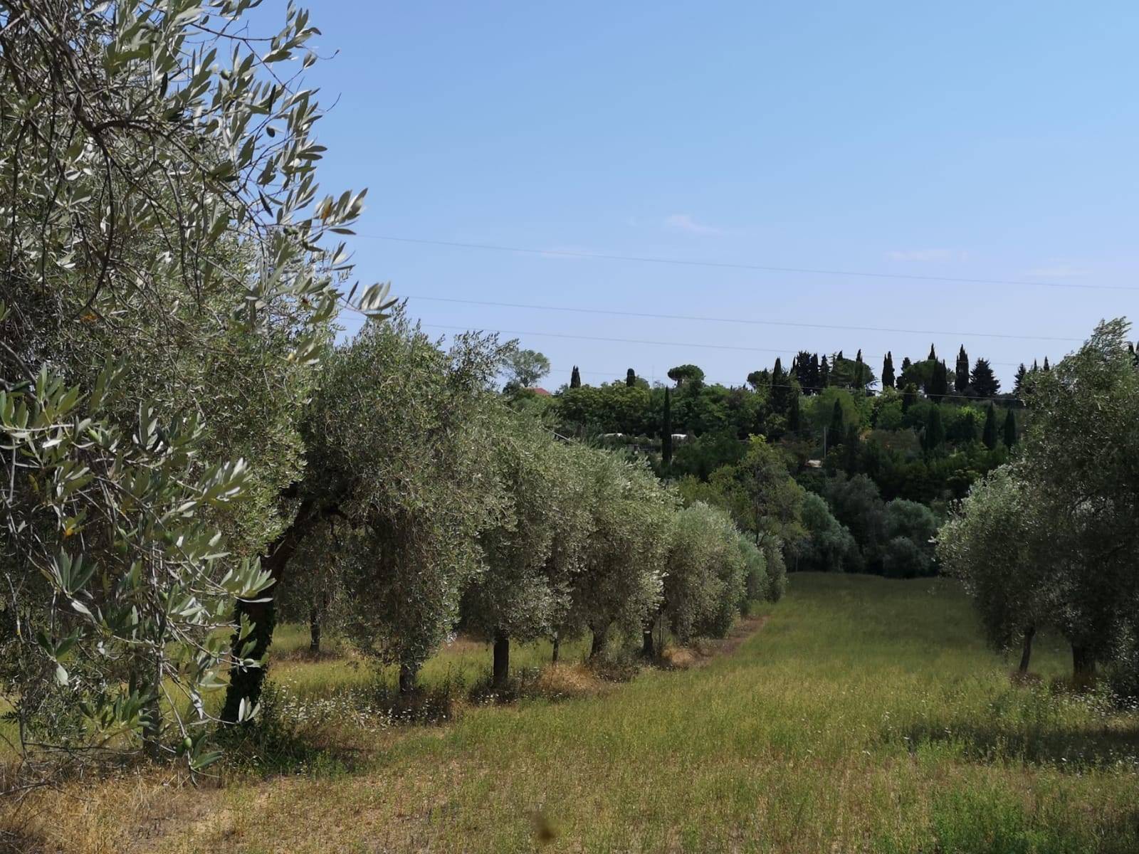 Casolare in vendita a Corropoli