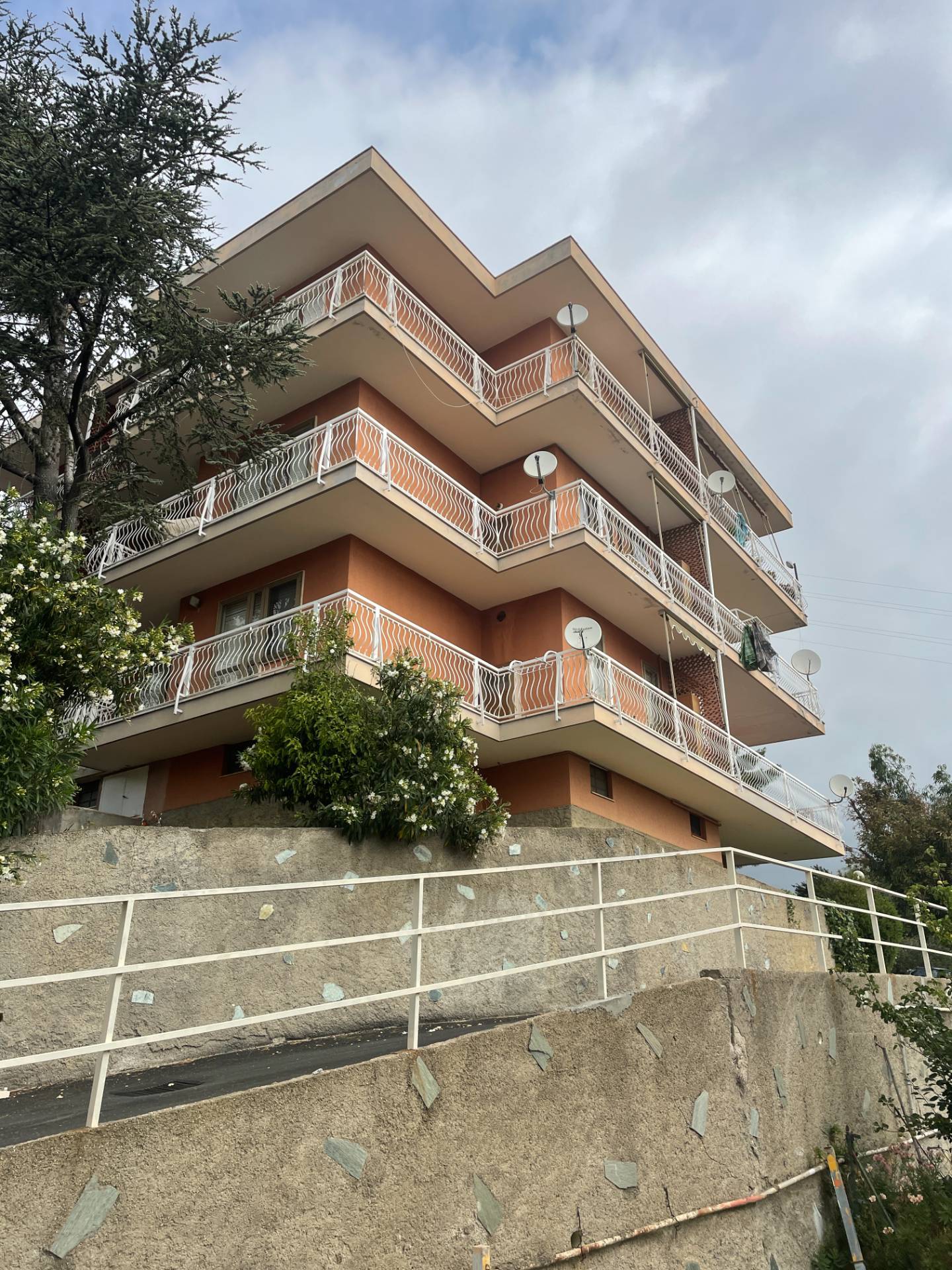 immagine annuncio 1 di 6