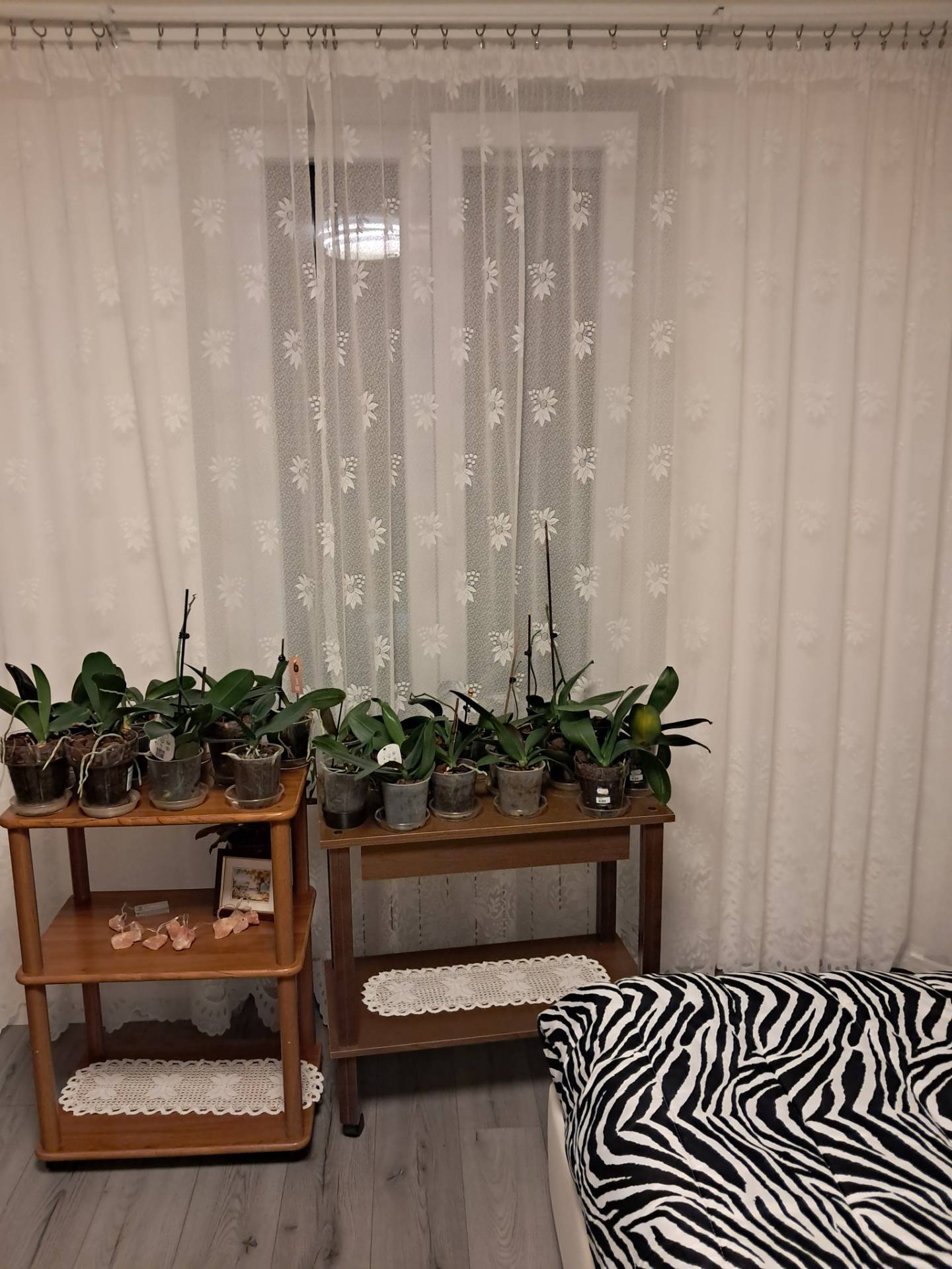 Appartamento in vendita a Monfalcone, Schiavetti