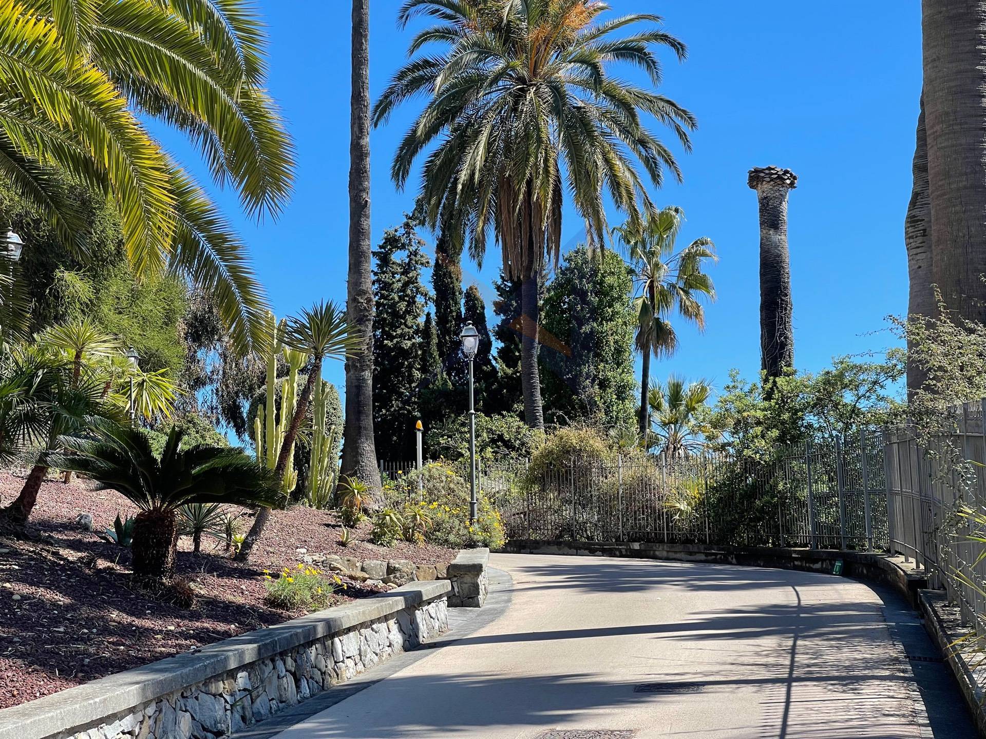 Appartamento in affitto a Bordighera