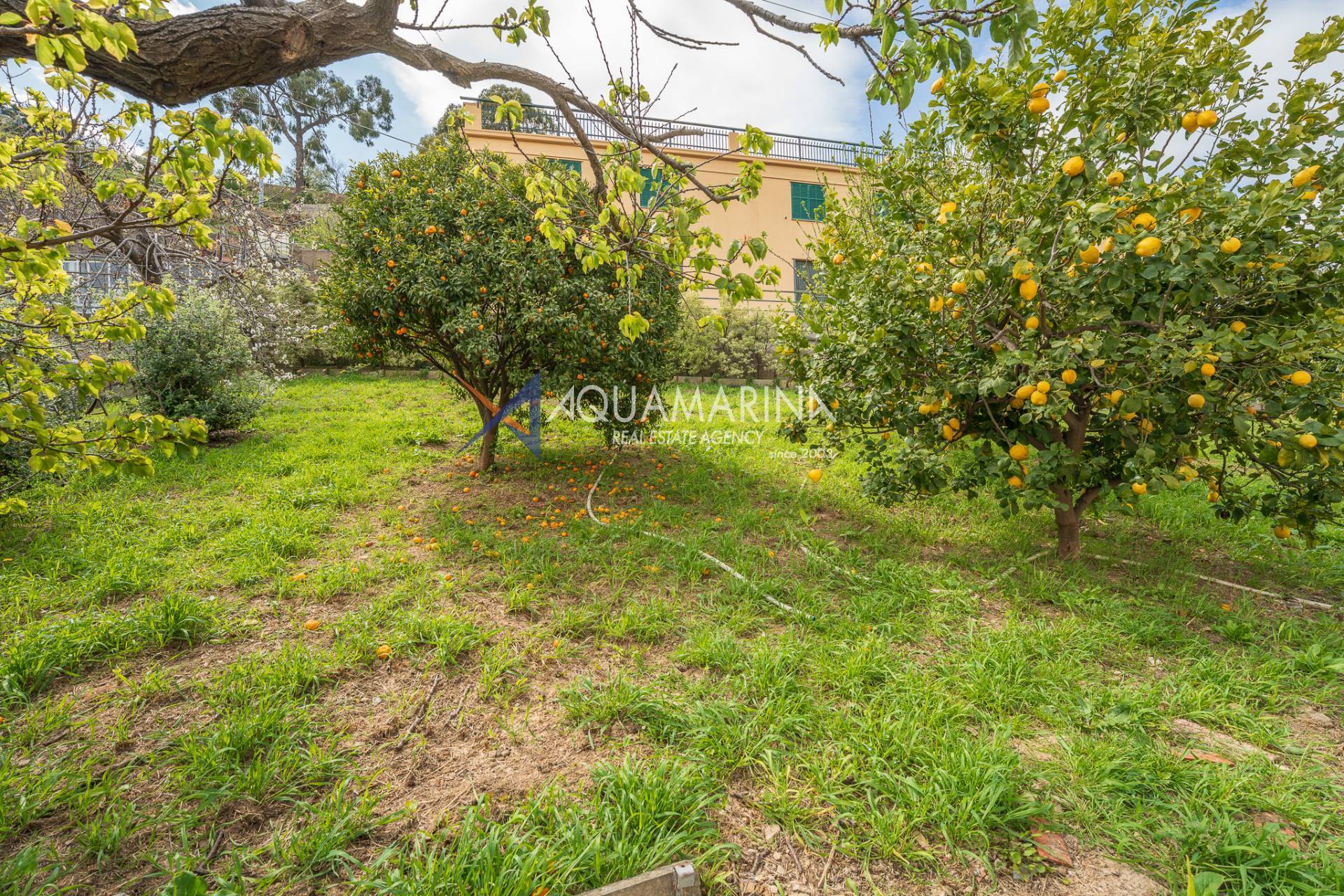 Casa Indipendente in vendita a Sanremo