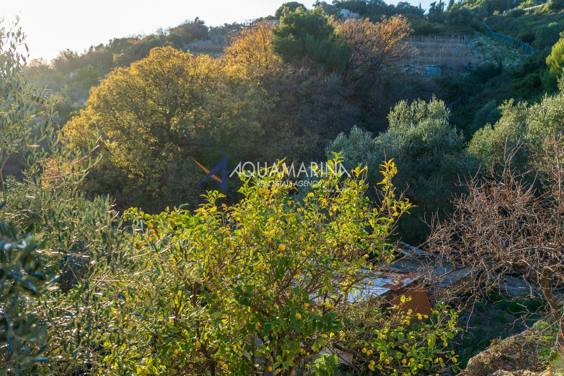 Terreno Agricolo in vendita a Cipressa