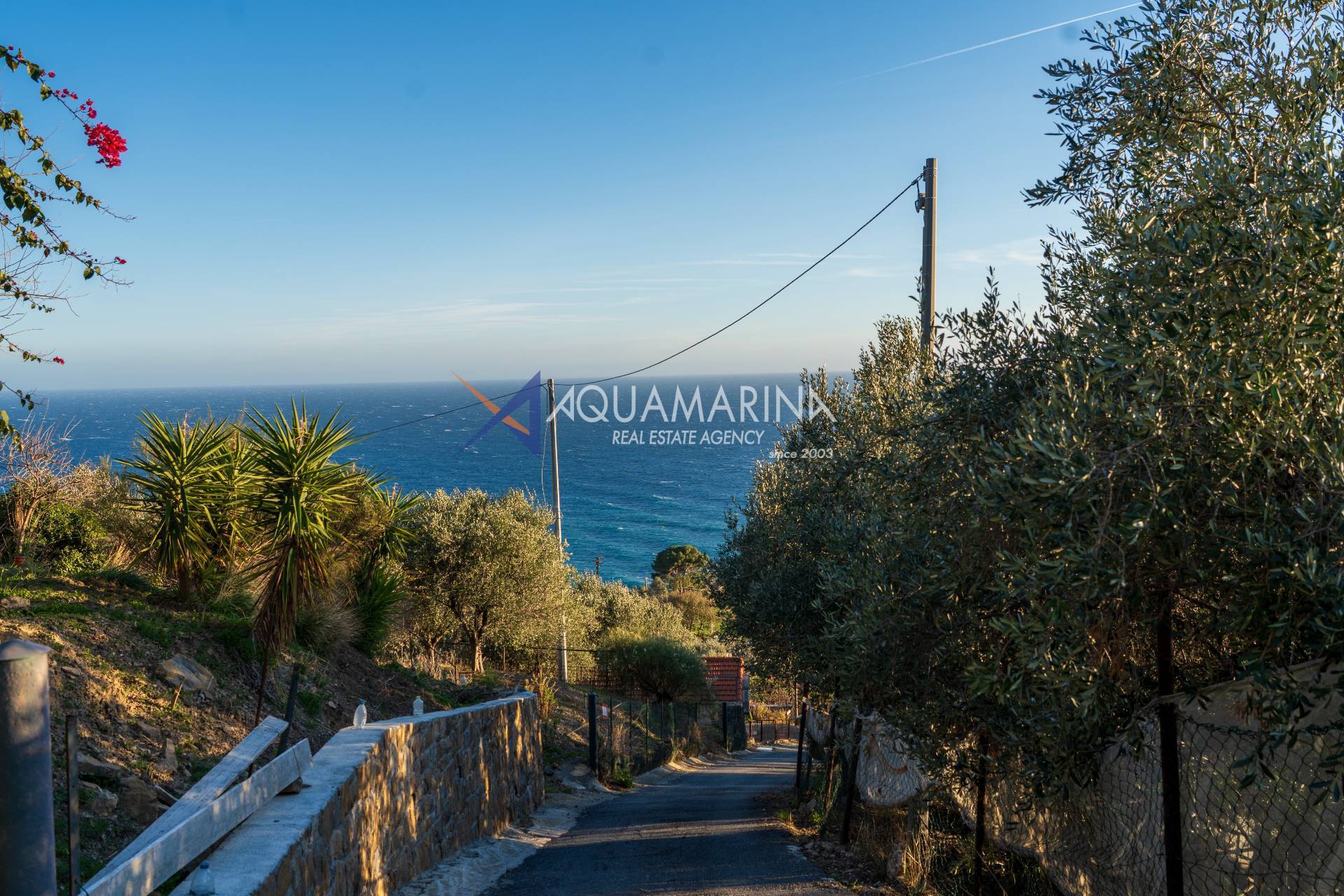 Terreno Agricolo in vendita a Cipressa