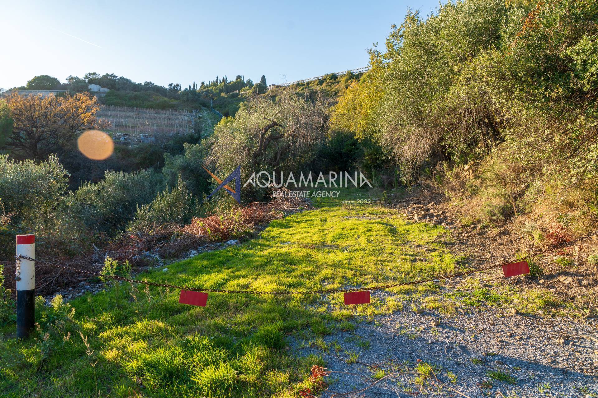 Terreno Agricolo in vendita a Cipressa