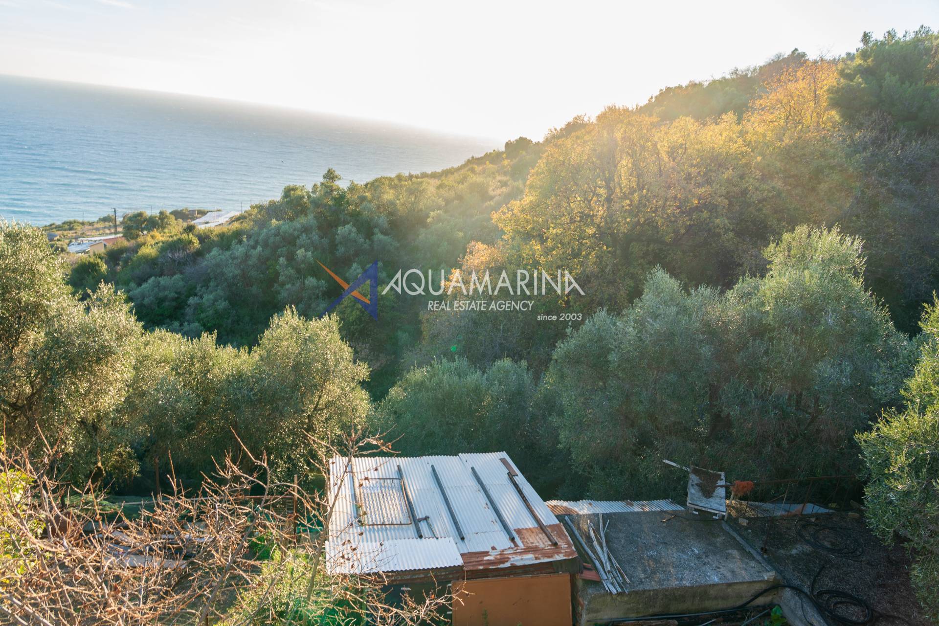 Terreno Agricolo in vendita a Cipressa