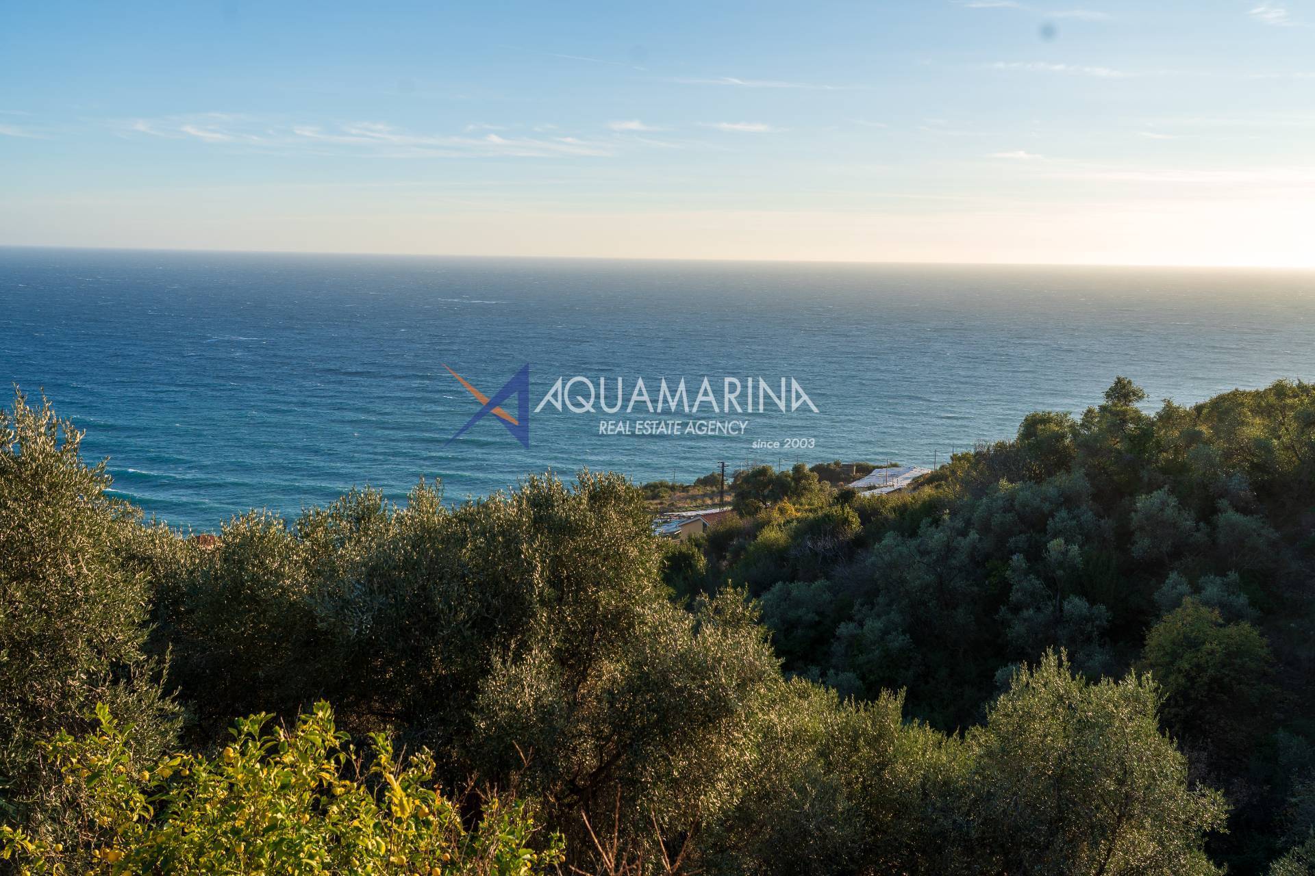 Terreno Agricolo in vendita a Cipressa