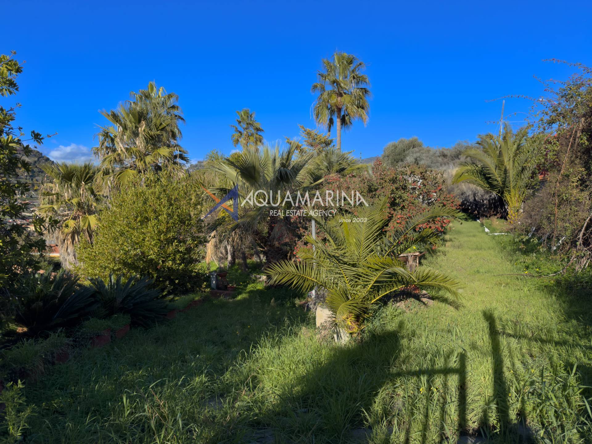 Villa in vendita a Bordighera