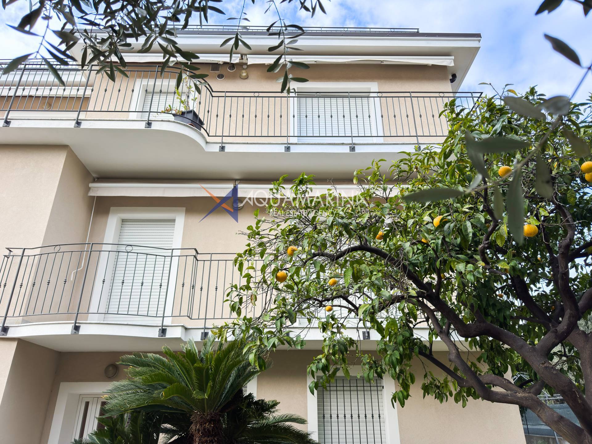 Appartamento in affitto a Bordighera