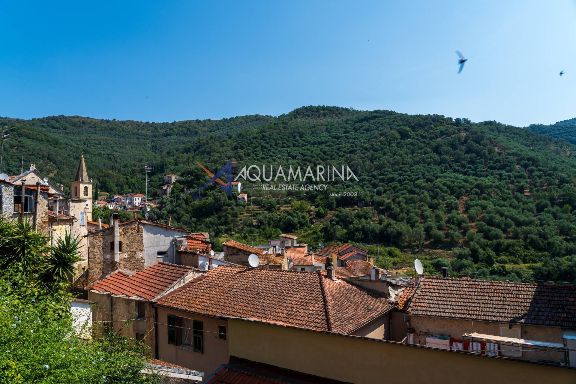 Casa Indipendente in vendita a Imperia, Moltedo