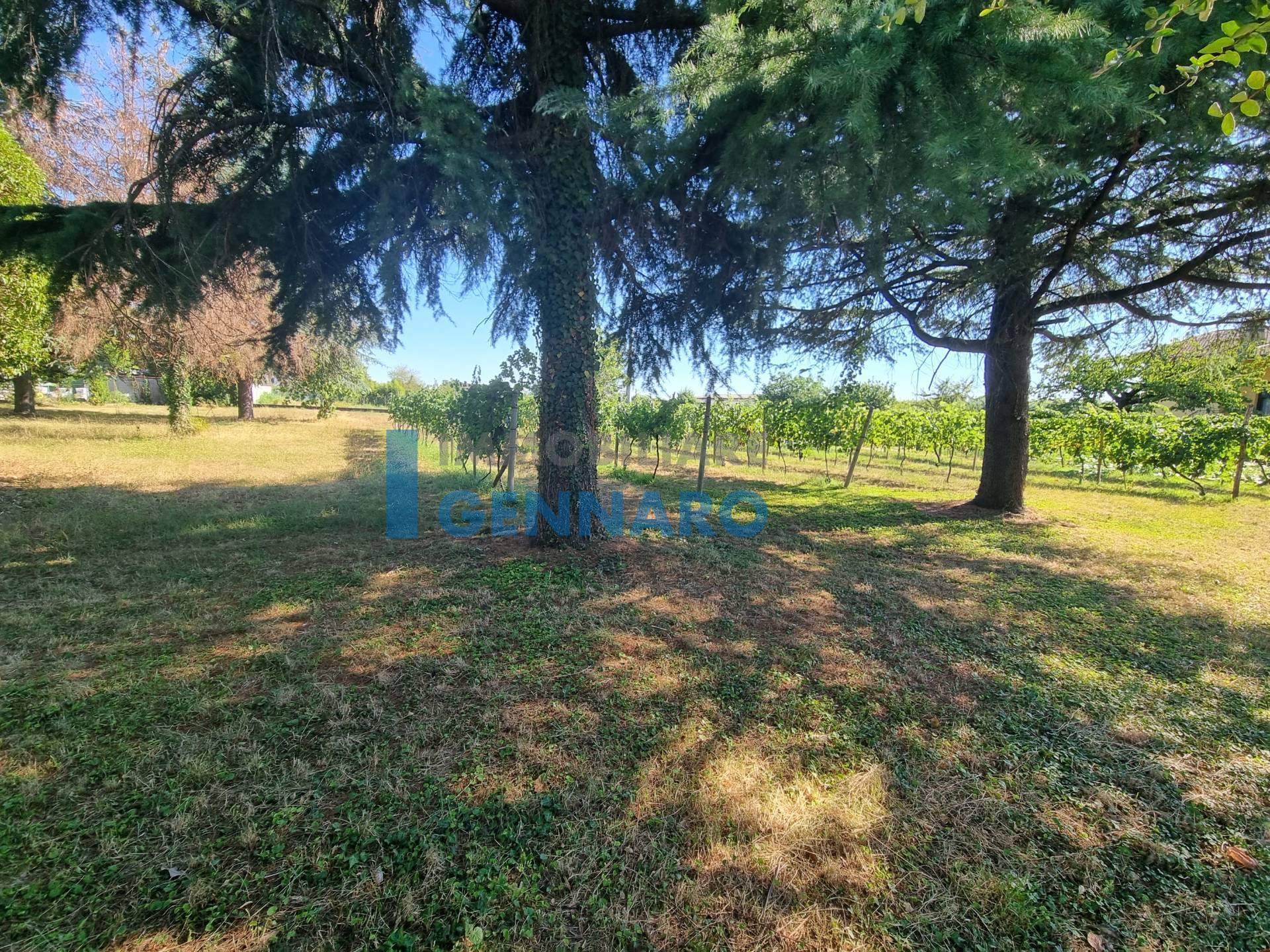 Terreno edificabile residenziale in vendita a Pavia di Udine, Lumignacco