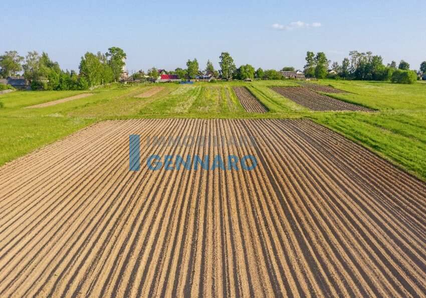 Terreno Agricolo in vendita a Visco