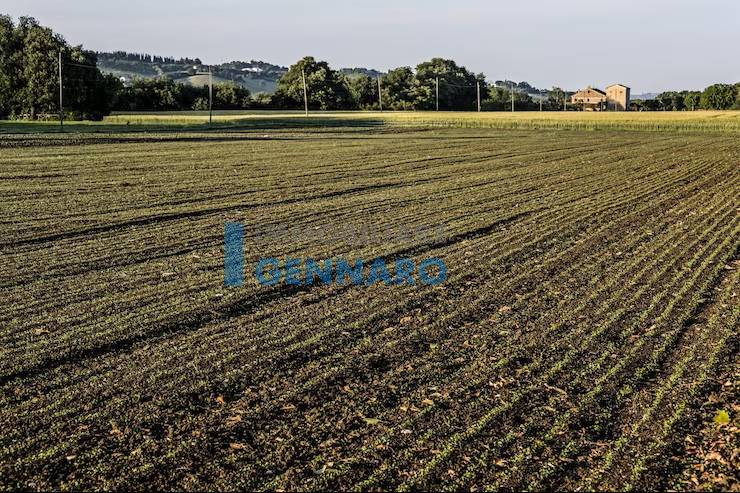 Terreno Agricolo in vendita a Udine, Udine Est