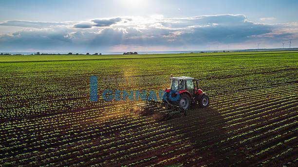 Terreno Agricolo in vendita a Udine, Udine Est