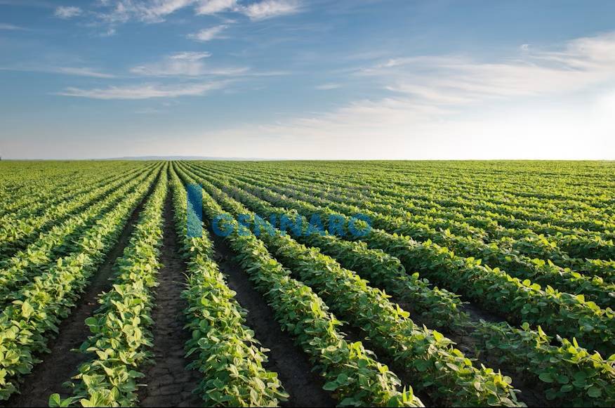 Terreno Agricolo in vendita a Udine, Udine Est