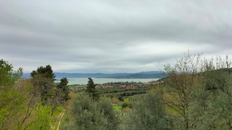Terreno vista lago a Magione