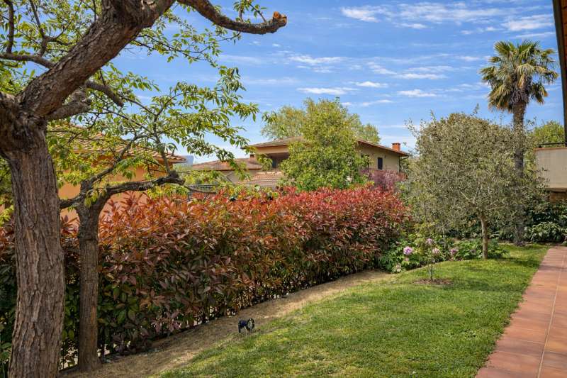 immagine annuncio 3 di 6