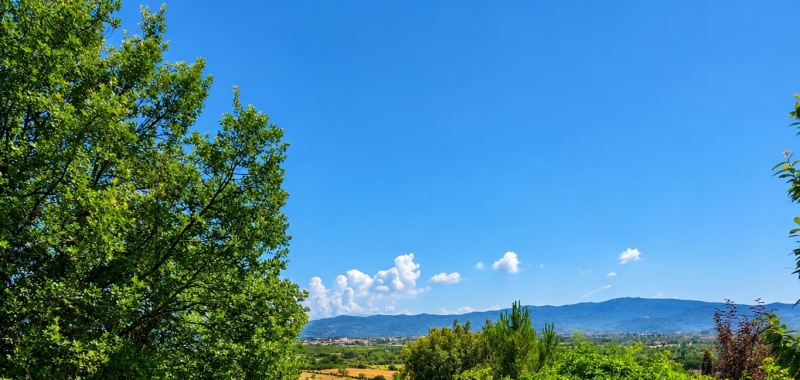 Villa con giardino a Arezzo