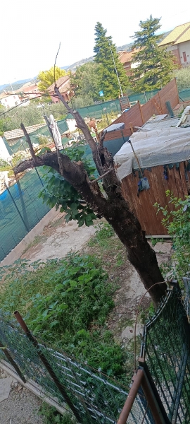 Quadrilocale con giardino a Perugia