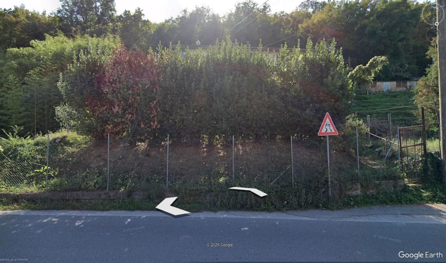 Terreno Agricolo in vendita, Carrara codena