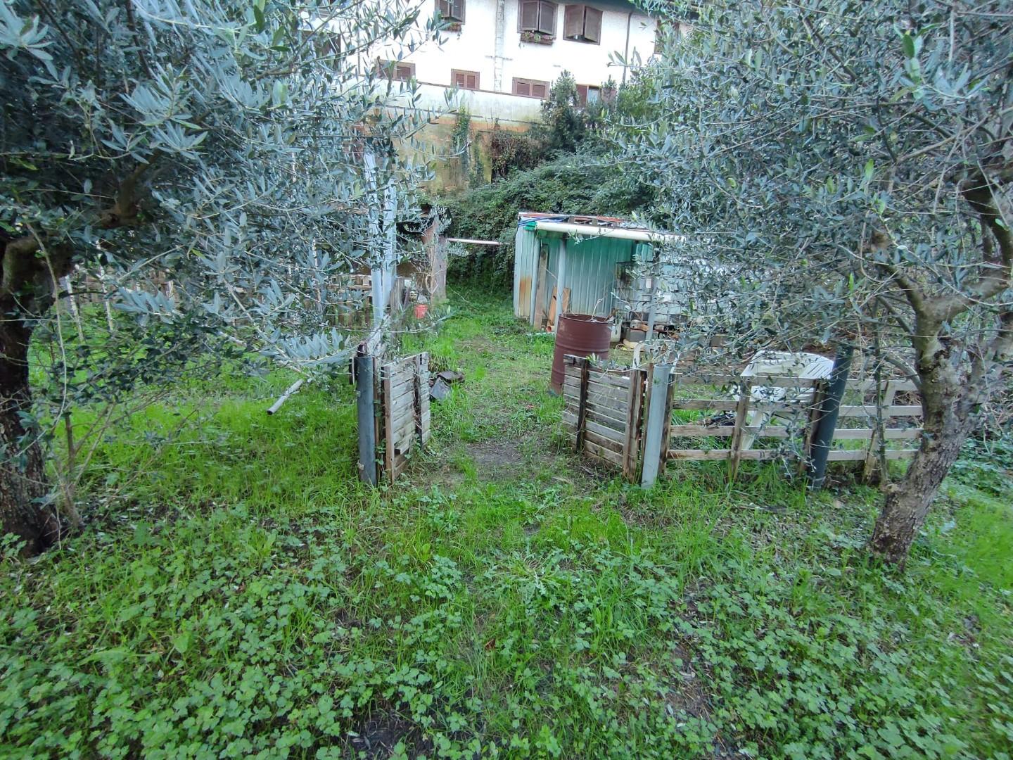 Terreno Agricolo in vendita, Carrara codena