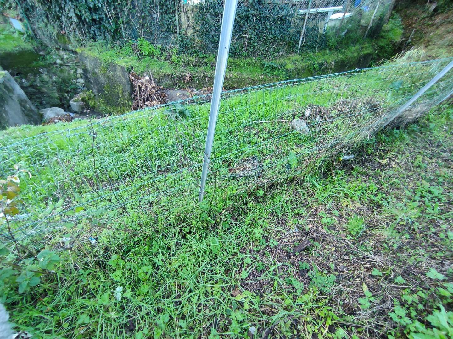 Terreno Agricolo in vendita, Carrara codena
