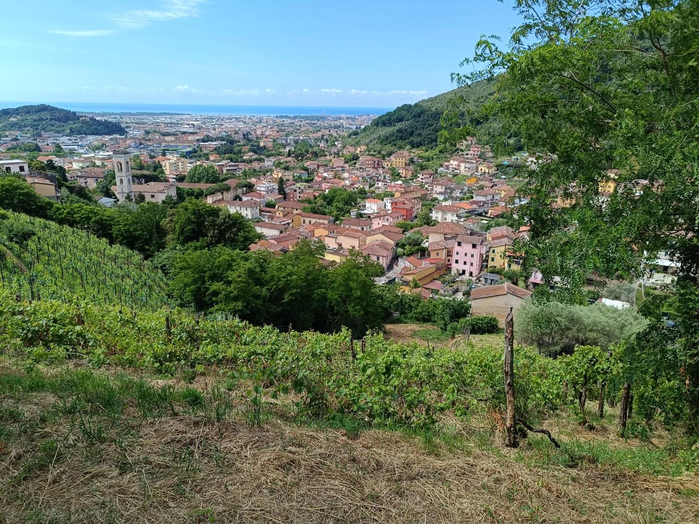 Terreno Agricolo in vendita, Carrara fossola