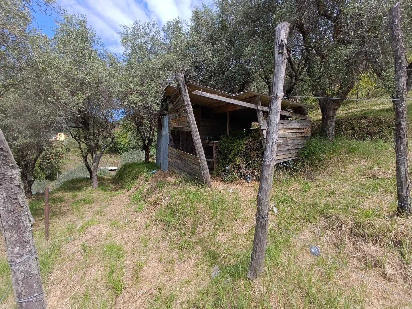 Terreno Agricolo in vendita, Carrara fossola