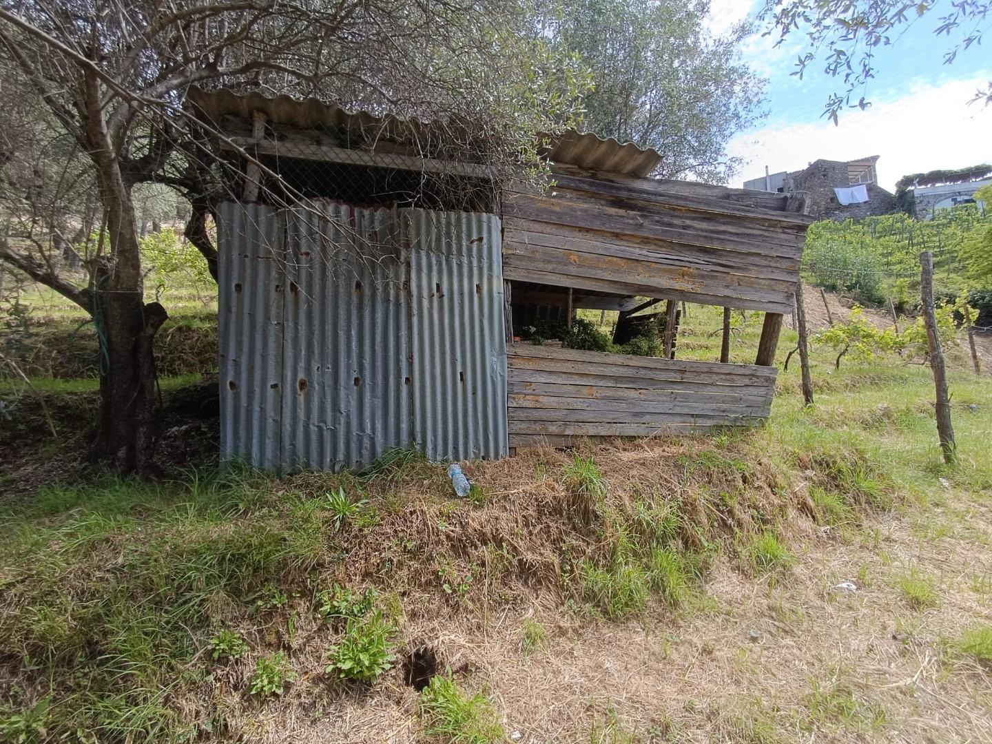 Terreno Agricolo in vendita, Carrara fossola