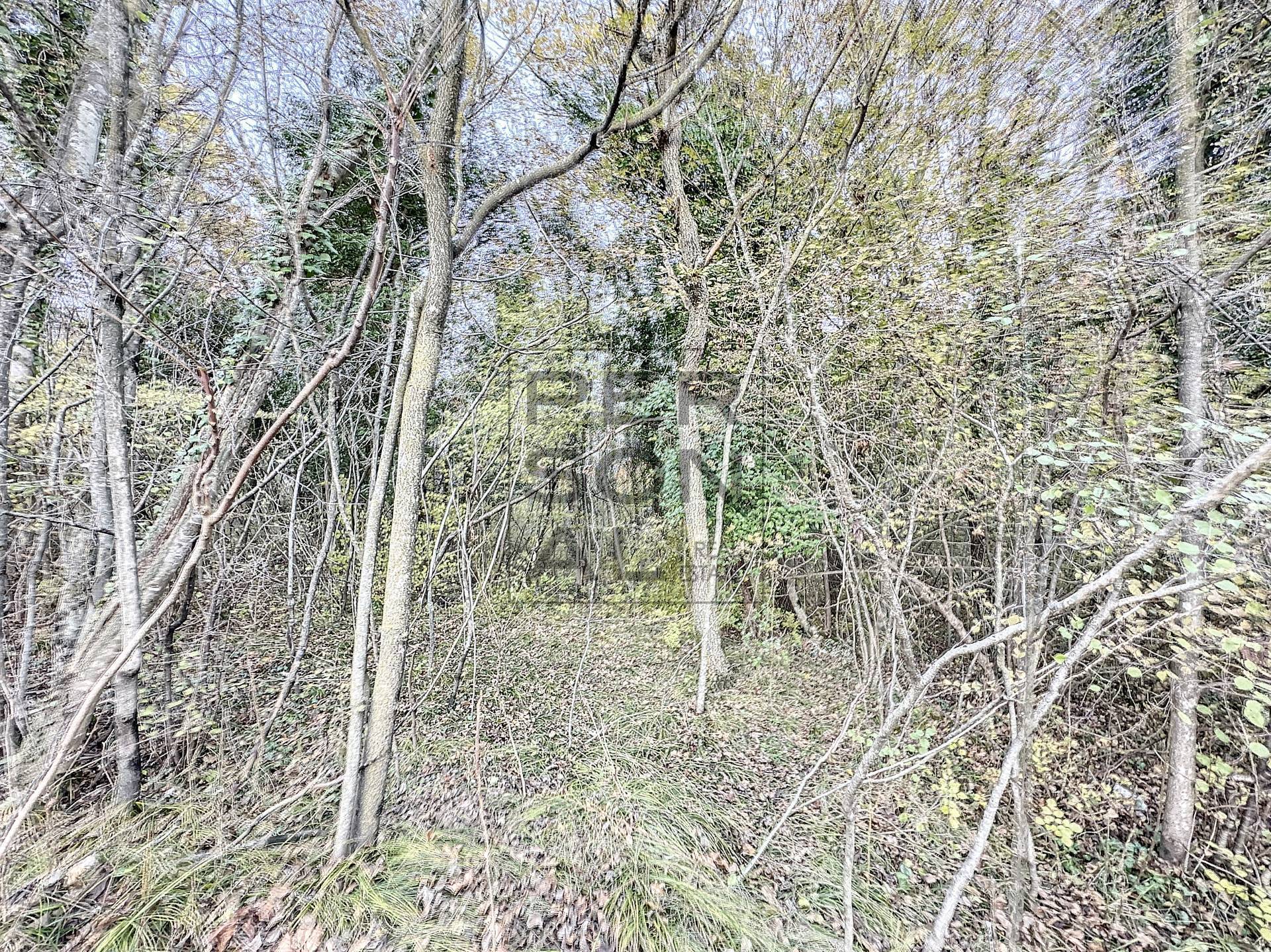 Rustico in vendita a Madruzzo, Lasino