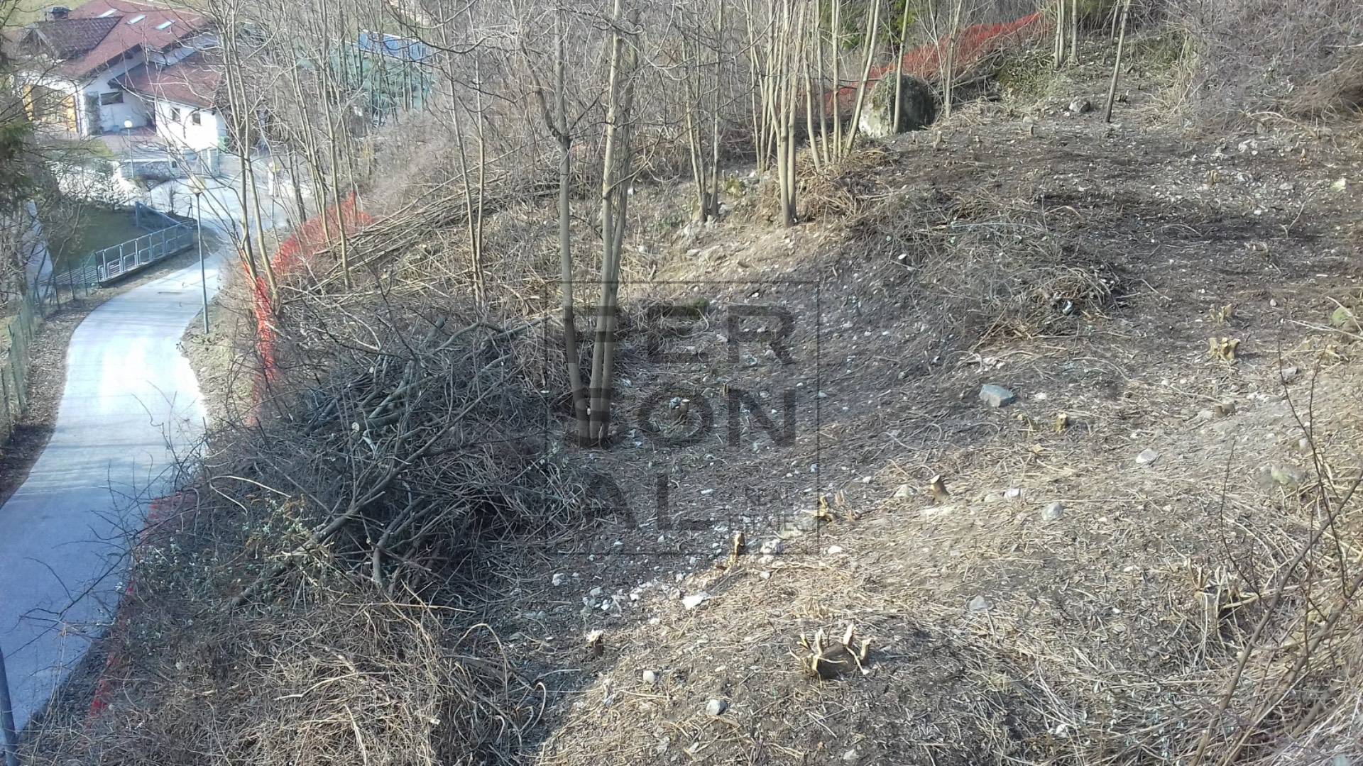 Terreno Edificabile in vendita a Borgo Valsugana