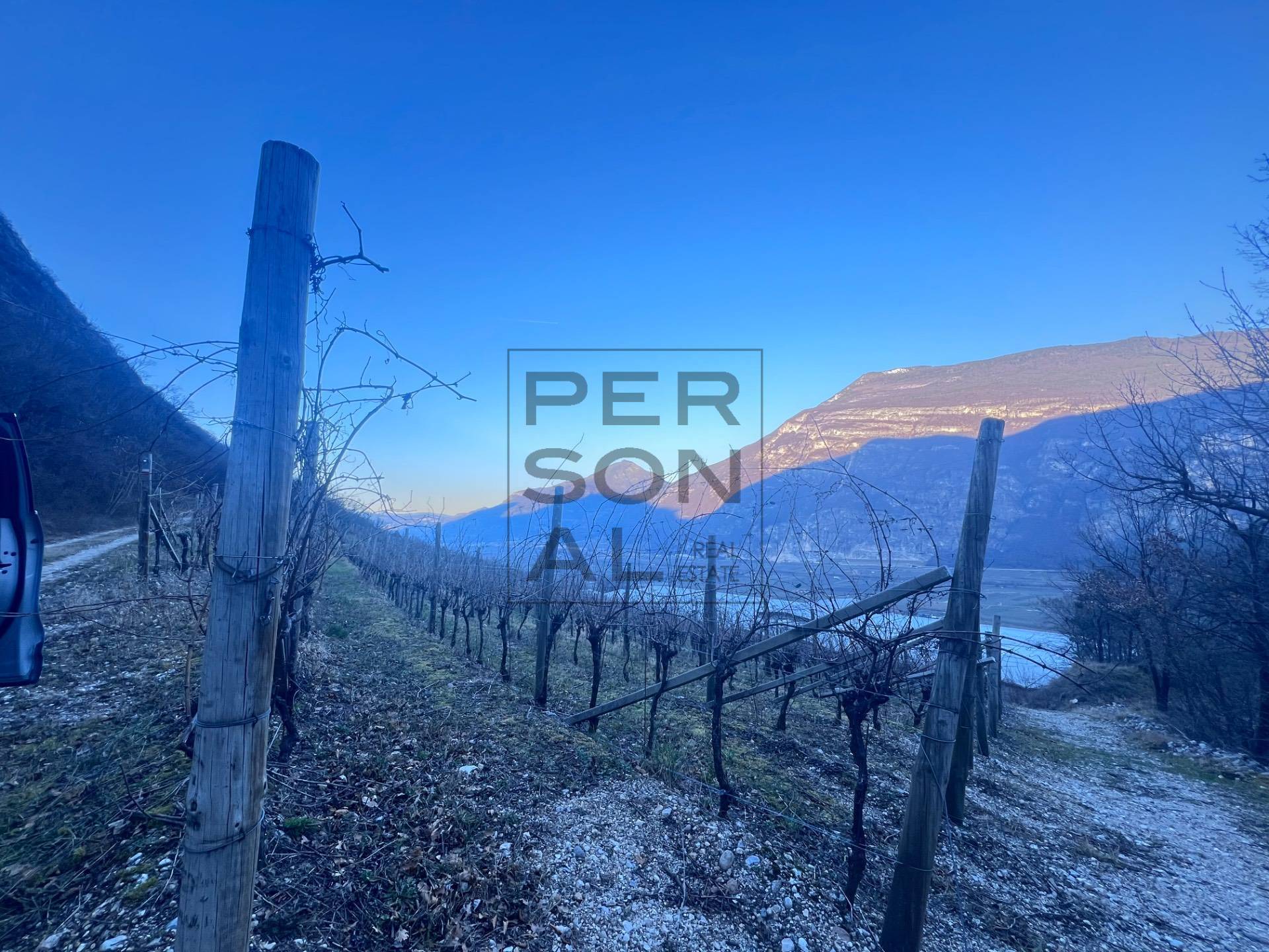 Terreno Agricolo in vendita a Aldeno