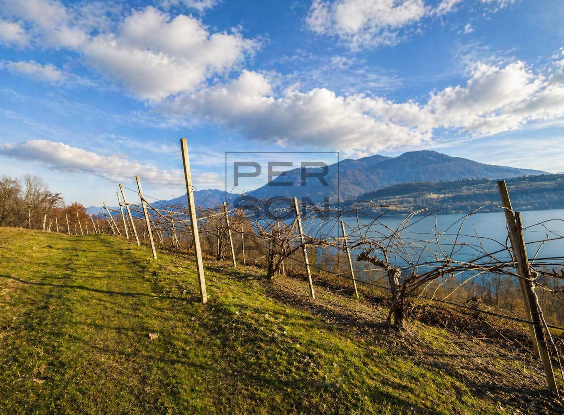 Terreno Agricolo in vendita a Calceranica al Lago